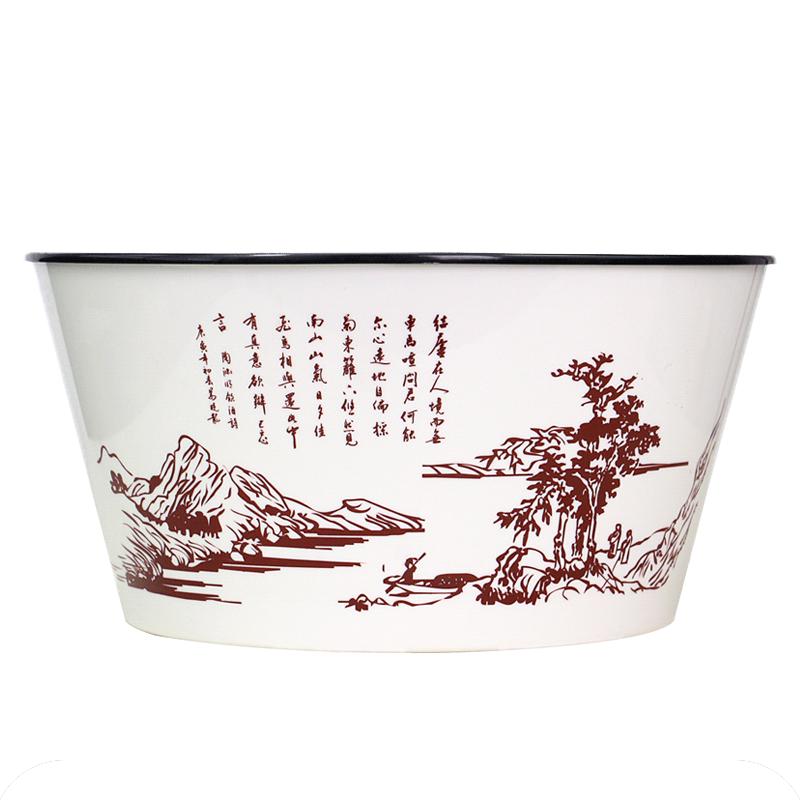 特大兰花免浇水绿萝蝴蝶兰自吸水
