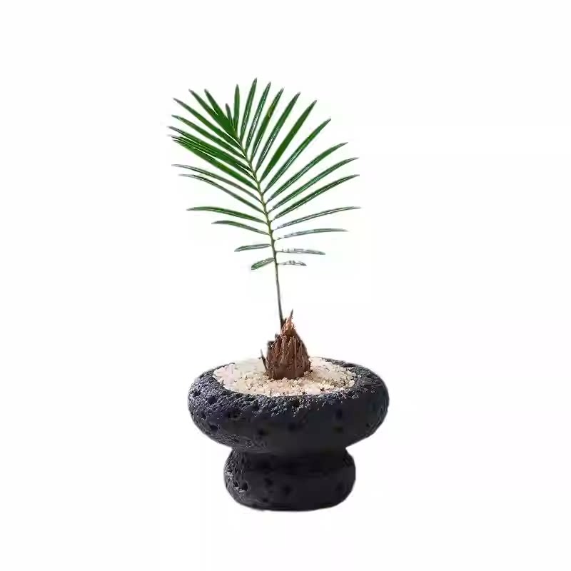 ins风创意花盆微型盆栽小苗盆ins高颜值花卉绿植桌面阳台花盆