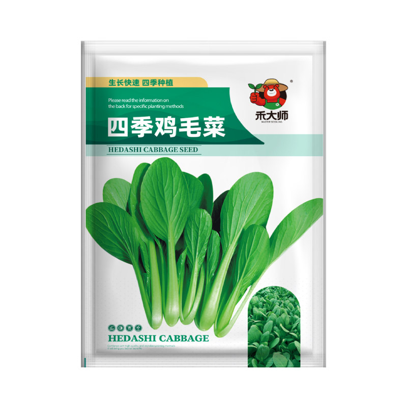 正品四季鸡毛菜种子春秋种植速生小青菜种籽家庭园艺盆栽大田种植