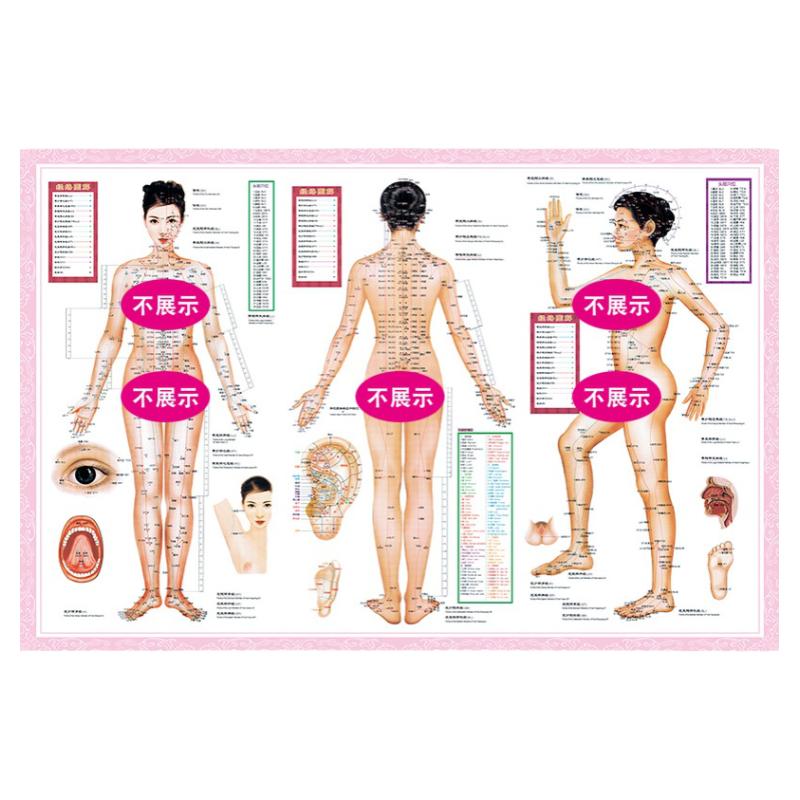 女性人体经络穴位图男女中医养生艾灸拔罐针灸全身十二海报大挂图