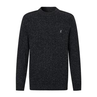 【100%绵羊毛】POLOWALK男士羊毛衫秋冬新款绞花圆领衫毛衣