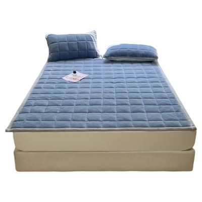 加厚珊瑚牛奶绒床垫软垫保暖垫被