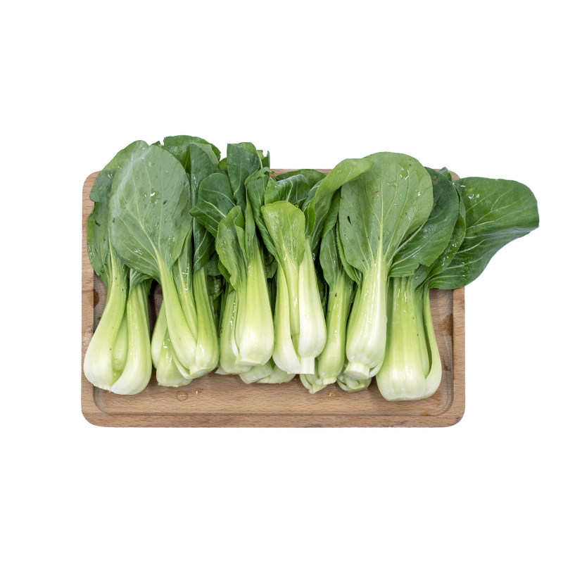 东升农场有机上海青苗新鲜蔬菜