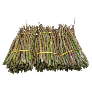 正品铁皮石斛鲜条500g中药材枫斗三四五年生基地批发霍山新干花粉