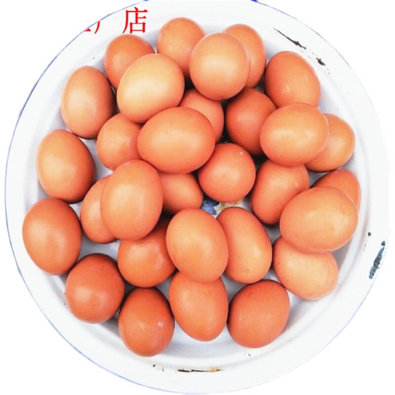 生毛鸡蛋30个活珠子鸡胚蛋毛蛋