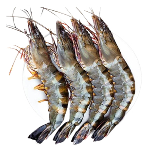 黑虎虾大虾野生竹节虾九节虾鲜冻速冻斑节虾冷冻基围虾深海虾海鲜