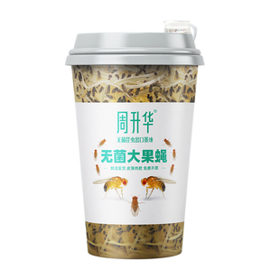 无菌活虫果蝇杯残翅昆虫跳蛛螳螂爬宠树蛙守宫蚂蚁饲料幼体培养基