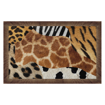 入户门地垫蹭土耐脏耐磨丝圈门垫