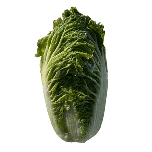 东北冻白菜蘸酱菜农家土特产新鲜特色趴了颗冻干白菜美食冬菜绿叶