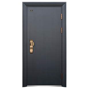 帝尔吉斯 现代简约子母门 防盗门 进户门