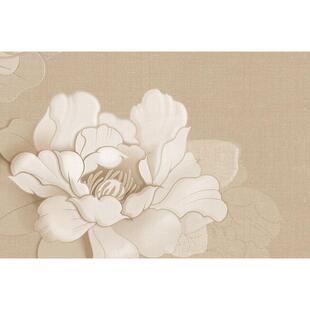 入户门地垫轻奢高级门口进门玄关门入门垫家用脚垫防滑免打理地毯