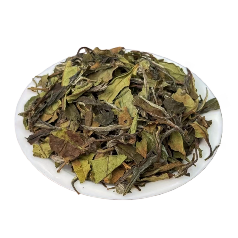 2026年老树春寿眉500g  福鼎白茶管阳高山非贡眉生态茶园日晒茶叶