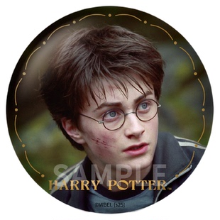 ComeFor正版哈利波特赫敏格兰杰神奇动物邓布利多生日徽章