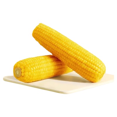 正宗东北黄糯玉米真空包装甜糯玉米加热即食玉米软糯香甜早餐饱腹