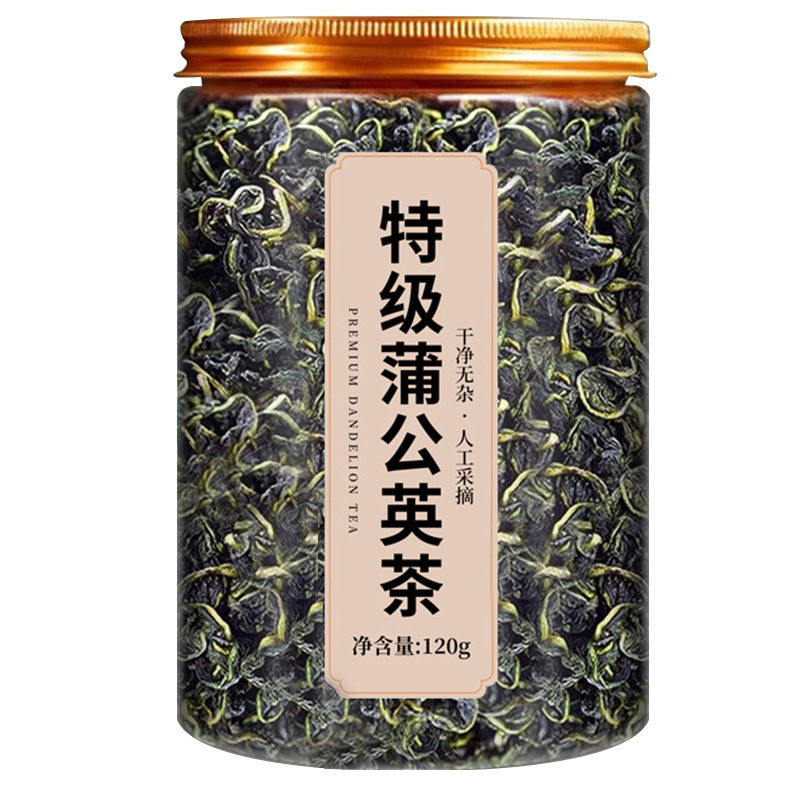 正品蒲公英茶新鲜特级野生蒲公英泡水喝疏肝降火中药材蒲公英茶叶