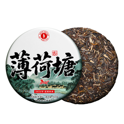 2026年薄荷塘春茶预售