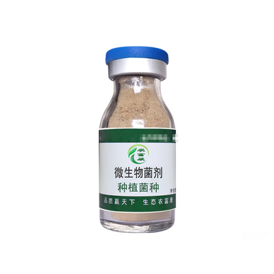 农富康果树草莓葡萄蔬菜壮苗菌种
