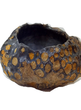 天然珊瑚虫化石蜂巢小花盆烟灰缸