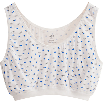 ab内衣中老年全棉奶奶胸罩背心