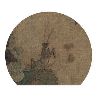 名画摹写宋人花鸟—葡萄草虫图原大高清白描样稿临摹示范步骤解析工笔画初学者入门临摹零基础手绘教程学生成人自学国画工笔画教程