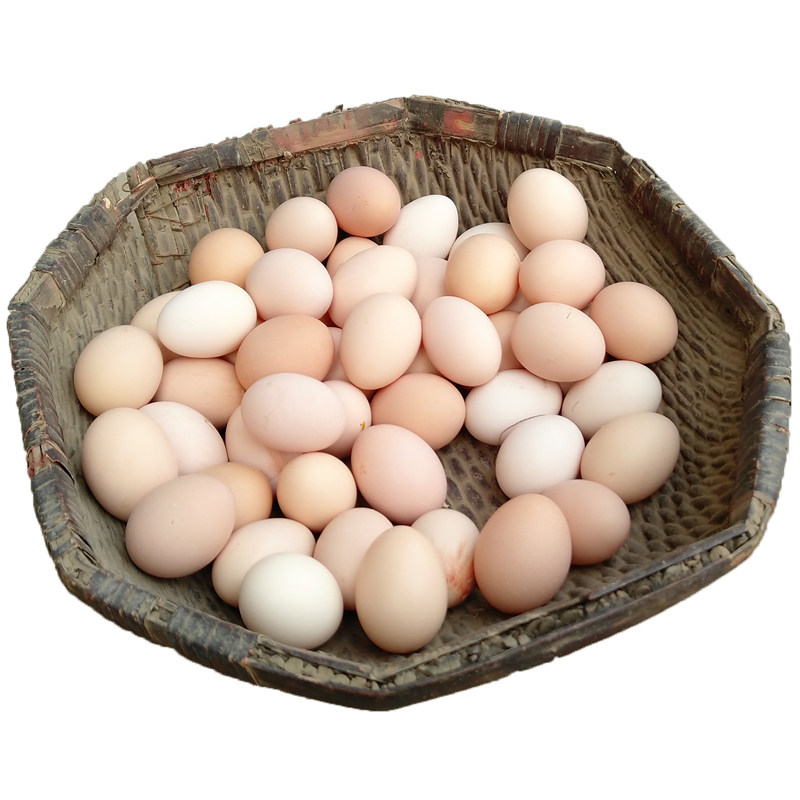 野外林下散养土鸡蛋40枚柴鸡蛋新鲜农家自养富硒月子虫草笨鸡蛋