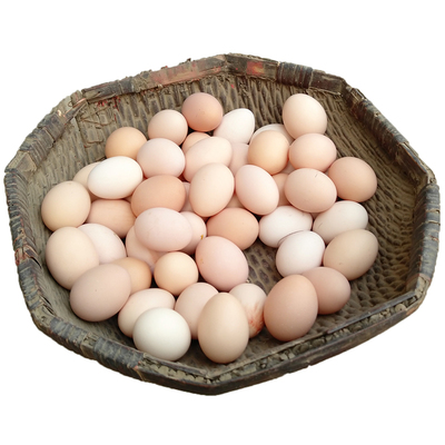 正宗农家散养新鲜健康土鸡蛋40枚