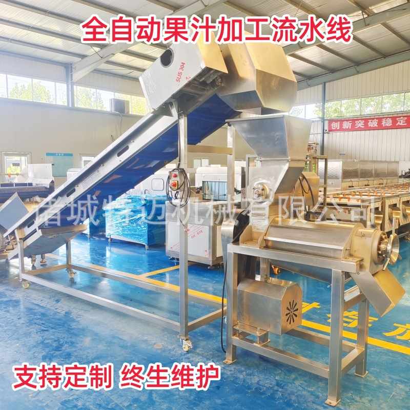 工厂定制秋梨膏生产线 全自动雪花梨清洗榨汁机 商用梨膏加工设备
