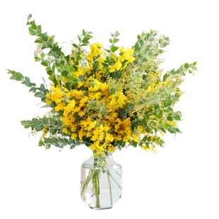 金合欢鲜花云南基地直发家用鲜切花水培插花圣诞合欢花束过年鲜花