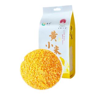 25年新米 内蒙古赤峰敖汉黄小米新米香糯黏稠杂粮米粥2斤金苗K1