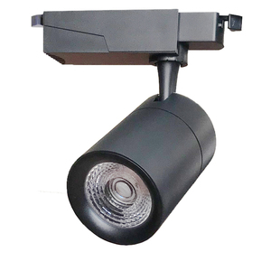 生鲜灯水果专用灯冷鲜肉灯猪肉红光灯超市轨道射灯烧腊卤菜熟食灯