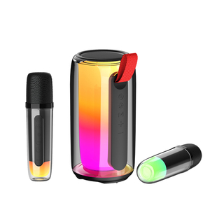 新科K歌话筒麦克风音箱一体家用音响重低音无线蓝牙低音炮大音量