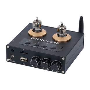 伟良音响BRZHIFI前置放大器U30蓝牙5.3发烧电子管前级高低音调节