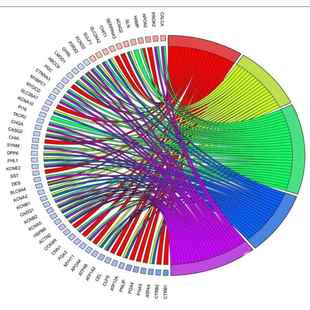 kegg富集分析 geo数据库 火山图绘制 tcga 生信分析