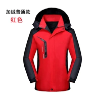 Красный обычный