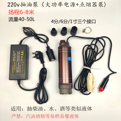 高扬程小型抽油水泵12V24V220V大功率浇菜抽柴油水洗车泵潜水泵