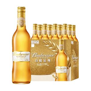 百威金尊啤酒10度500ml*12瓶高端瓶装拉格整箱批发浓郁麦香