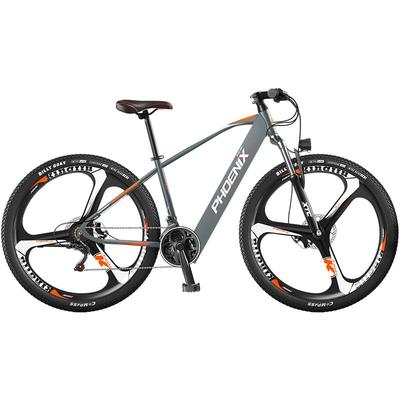 凤凰599锂电池爆款电动自行车