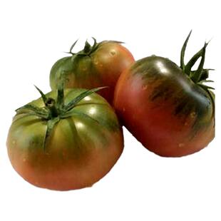 铁皮西红柿种籽水果番茄种孑苗草莓西红柿籽甜心08-2草莓番茄种