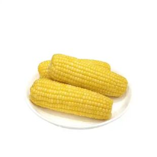 礼盒装10支几戈玉米黑龙江北纬47度黄金玉米带种植软糯香甜