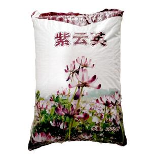 紫云英种子红花草籽翘摇芽苗菜观赏养蜂蜜源牧草果园有机绿肥种籽