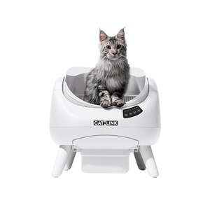 开放大空间猫咪秒适应