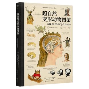 【新版】超自然变形动物图鉴 8开超大开本 全彩精装 大幅手绘解剖图诠释变形之美 透视西方神话传说 艺术作品  素材设定 未读