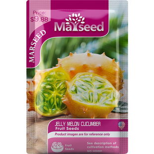 【MARSEED火星家】Jelly Melon 非洲角浆果水果 果冻瓜种子籽孑