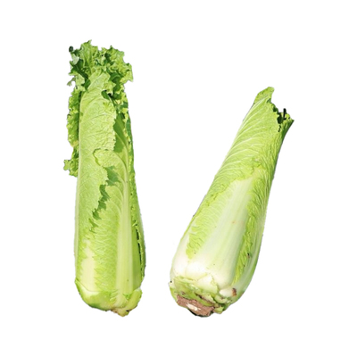 正宗玉田二包尖白菜农家自种