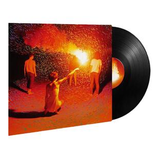 官方正版 后海大鲨鱼 心要野 LP黑胶唱片 摇滚音乐专辑 12寸大碟