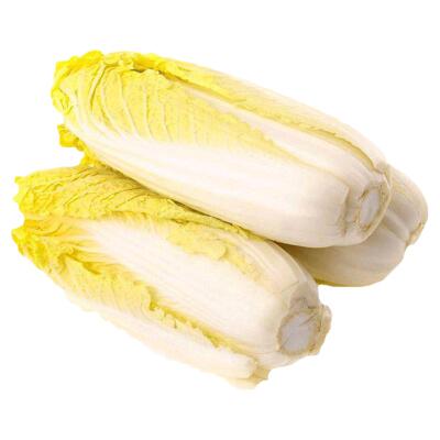奶油娃娃菜种子黄心小白菜