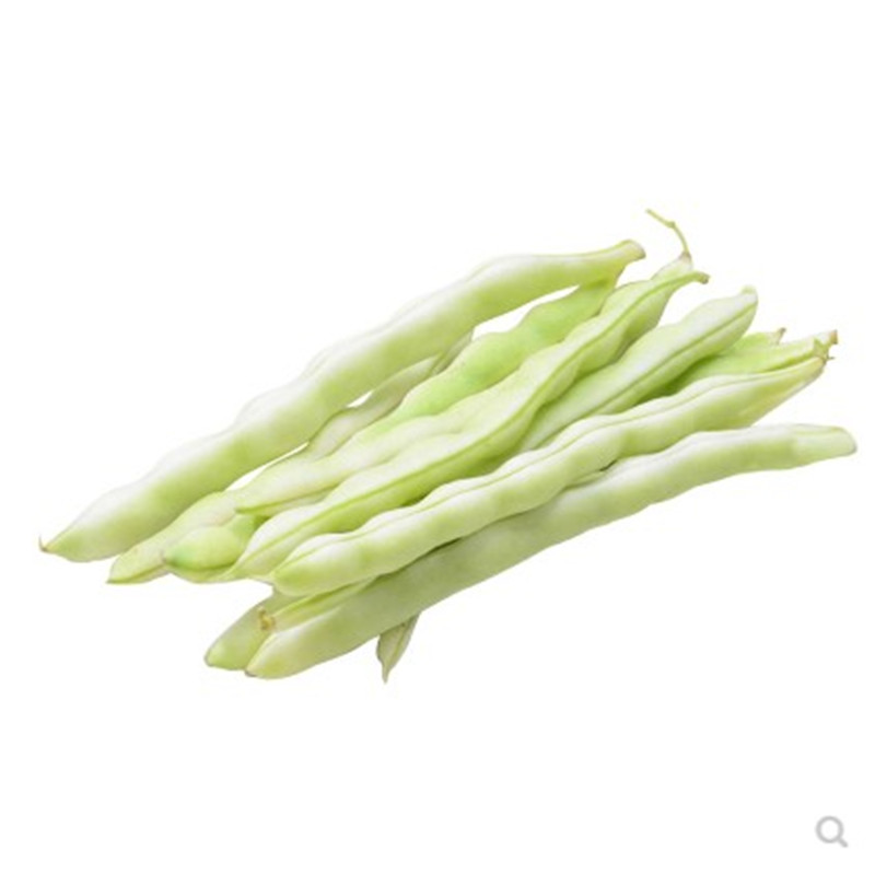 壽光蔬菜九粒白蕓豆種子龍泉307白色四季豆高產(chǎn)老來少紫蕓豆種孑