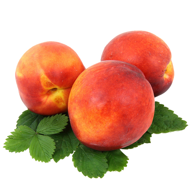 虹越阳台露台水蜜桃鹰嘴桃