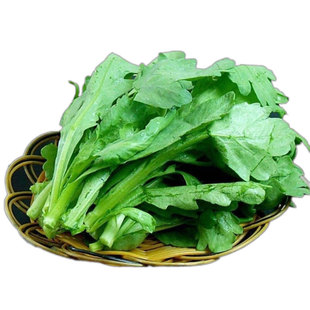 蔬菜种子大全四季蔬菜家庭阳台盆栽香菜小葱青菜玉米种子营养土