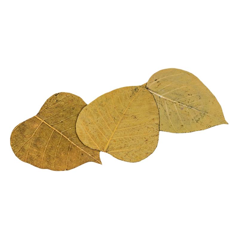 东方禅意菩提叶书签 杯垫 文创纪念品 天然树叶 无上殊胜